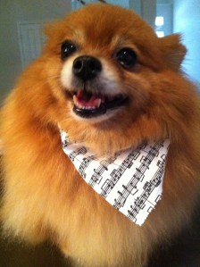 piano lessons clear lake tx